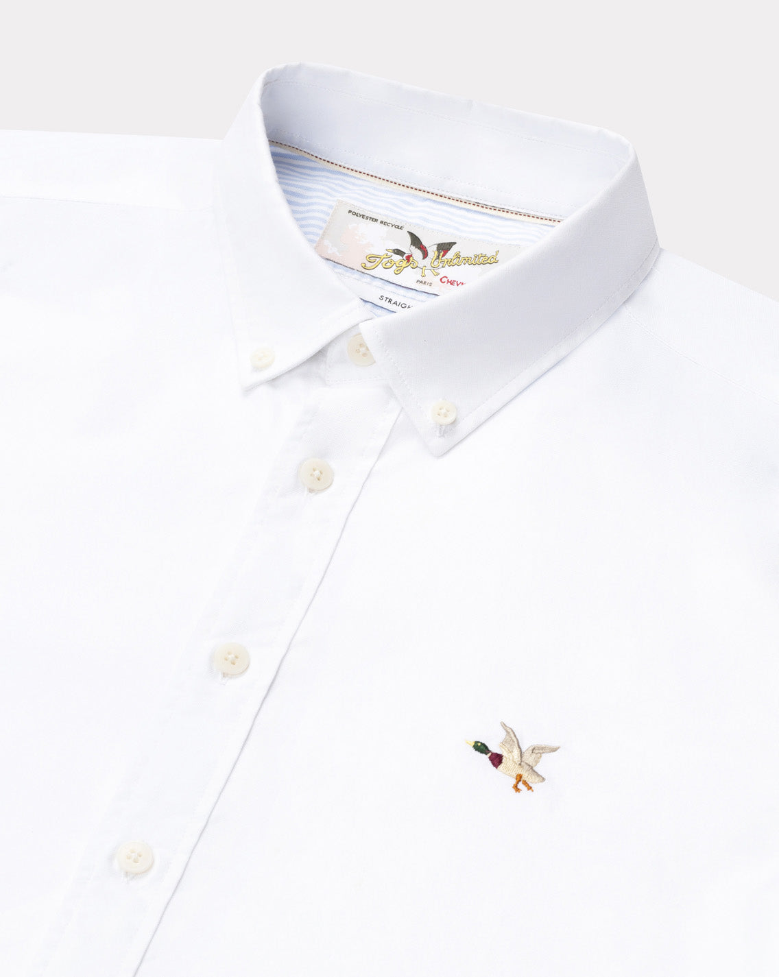 CHEMISE OXFORD TOGS BLANC